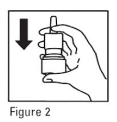 2 (Mometasone Furoate Nasal Spray 3)