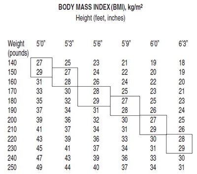 Figure 02 Bmi Index