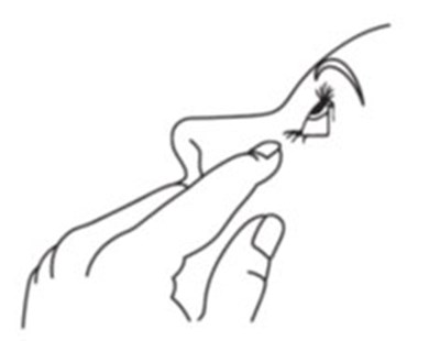 Figurea (Figurea)