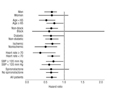 Figure 2 (Image 03)