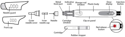 genotropin-55.jpg Figure A - genotropin 55